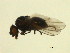  ( - 07PROBE-JW0595)  @12 [ ] CreativeCommons - Attribution (2010) Unspecified Centre for Biodiversity Genomics