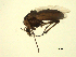  ( - 07PROBE-JW0637)  @13 [ ] CreativeCommons - Attribution (2010) Unspecified Centre for Biodiversity Genomics