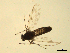  ( - 07PROBE-JW0641)  @12 [ ] CreativeCommons - Attribution (2010) Unspecified Centre for Biodiversity Genomics