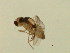  ( - 07PROBE-JW0687)  @12 [ ] CreativeCommons - Attribution (2010) Unspecified Centre for Biodiversity Genomics