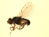  ( - 07PROBE-JW0708)  @12 [ ] CreativeCommons - Attribution (2010) Unspecified Centre for Biodiversity Genomics