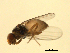  ( - 07PROBE-JW0711)  @12 [ ] CreativeCommons - Attribution (2010) Unspecified Centre for Biodiversity Genomics