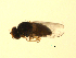  ( - 07PROBE-JW0713)  @12 [ ] CreativeCommons - Attribution (2010) Unspecified Centre for Biodiversity Genomics