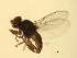  ( - 07PROBE-JW0717)  @13 [ ] CreativeCommons - Attribution (2010) Unspecified Centre for Biodiversity Genomics