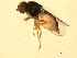  ( - 07PROBE-JW0725)  @12 [ ] CreativeCommons - Attribution (2010) Unspecified Centre for Biodiversity Genomics