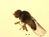  ( - 07PROBE-JW0746)  @12 [ ] CreativeCommons - Attribution (2010) Unspecified Centre for Biodiversity Genomics