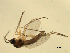  ( - 07PROBE-JW0775)  @12 [ ] CreativeCommons - Attribution (2010) Unspecified Centre for Biodiversity Genomics