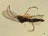  ( - 07PROBE-JW0779)  @12 [ ] CreativeCommons - Attribution (2010) Unspecified Centre for Biodiversity Genomics