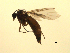  ( - 07PROBE-JW0796)  @12 [ ] CreativeCommons - Attribution (2010) Unspecified Centre for Biodiversity Genomics