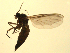  ( - 07PROBE-JW0803)  @12 [ ] CreativeCommons - Attribution (2010) Unspecified Centre for Biodiversity Genomics