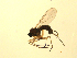  ( - 07PROBE-JW0815)  @12 [ ] CreativeCommons - Attribution (2010) Unspecified Centre for Biodiversity Genomics