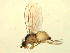  ( - 07PROBE-JW0918)  @13 [ ] CreativeCommons - Attribution (2010) Unspecified Centre for Biodiversity Genomics