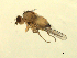  ( - 07PROBE-JW0920)  @12 [ ] CreativeCommons - Attribution (2010) Unspecified Centre for Biodiversity Genomics