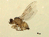  ( - 07PROBE-JW0925)  @13 [ ] CreativeCommons - Attribution (2010) Unspecified Centre for Biodiversity Genomics