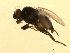  ( - 07PROBE-JW0933)  @13 [ ] CreativeCommons - Attribution (2010) Unspecified Centre for Biodiversity Genomics