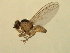  ( - 07PROBE-JW0947)  @13 [ ] CreativeCommons - Attribution (2010) Unspecified Centre for Biodiversity Genomics