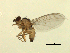  ( - 07PROBE-JW0950)  @12 [ ] CreativeCommons - Attribution (2010) Unspecified Centre for Biodiversity Genomics