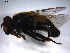  ( - 07PROBE-JW0953)  @12 [ ] CreativeCommons - Attribution (2010) Unspecified Centre for Biodiversity Genomics
