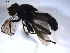  ( - 07PROBE-JW0968)  @12 [ ] CreativeCommons - Attribution (2010) Unspecified Centre for Biodiversity Genomics