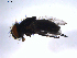  ( - 07PROBE-JW1001)  @12 [ ] CreativeCommons - Attribution (2010) Unspecified Centre for Biodiversity Genomics