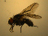  ( - 07PROBE-JW1048)  @13 [ ] CreativeCommons - Attribution (2010) Unspecified Centre for Biodiversity Genomics