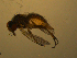  ( - 07PROBE-JW1071)  @13 [ ] CreativeCommons - Attribution (2010) Unspecified Centre for Biodiversity Genomics