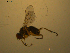  ( - 07PROBE-JW1084)  @13 [ ] CreativeCommons - Attribution (2010) Unspecified Centre for Biodiversity Genomics