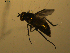  ( - 07PROBE-JW1114)  @12 [ ] CreativeCommons - Attribution (2010) Unspecified Centre for Biodiversity Genomics