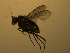  ( - 07PROBE-JW1116)  @12 [ ] CreativeCommons - Attribution (2010) Unspecified Centre for Biodiversity Genomics