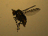  ( - 07PROBE-JW1117)  @12 [ ] CreativeCommons - Attribution (2010) Unspecified Centre for Biodiversity Genomics