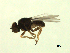  ( - 07PROBE-JW1151)  @12 [ ] CreativeCommons - Attribution (2010) Unspecified Centre for Biodiversity Genomics