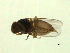  ( - 07PROBE-JW1156)  @12 [ ] CreativeCommons - Attribution (2010) Unspecified Centre for Biodiversity Genomics