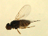  ( - 07PROBE-JW1167)  @12 [ ] CreativeCommons - Attribution (2010) Unspecified Centre for Biodiversity Genomics