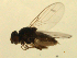  ( - 07PROBE-JW1168)  @12 [ ] CreativeCommons - Attribution (2010) Unspecified Centre for Biodiversity Genomics