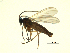  ( - 07PROBE-JW1243)  @12 [ ] CreativeCommons - Attribution (2010) Unspecified Centre for Biodiversity Genomics