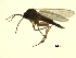  ( - 07PROBE-JW1244)  @13 [ ] CreativeCommons - Attribution (2010) Unspecified Centre for Biodiversity Genomics
