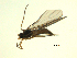  ( - 07PROBE-JW1245)  @12 [ ] CreativeCommons - Attribution (2010) Unspecified Centre for Biodiversity Genomics
