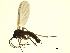  ( - 07PROBE-JW1251)  @13 [ ] CreativeCommons - Attribution (2010) Unspecified Centre for Biodiversity Genomics