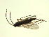  ( - 07PROBE-JW1252)  @12 [ ] CreativeCommons - Attribution (2010) Unspecified Centre for Biodiversity Genomics