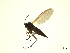  ( - 07PROBE-JW1254)  @12 [ ] CreativeCommons - Attribution (2010) Unspecified Centre for Biodiversity Genomics
