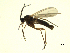  ( - 07PROBE-JW1268)  @13 [ ] CreativeCommons - Attribution (2010) Unspecified Centre for Biodiversity Genomics