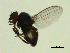  ( - 07PROBE-JW1272)  @13 [ ] CreativeCommons - Attribution (2010) Unspecified Centre for Biodiversity Genomics