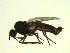  ( - 07PROBE-JW1273)  @12 [ ] CreativeCommons - Attribution (2010) Unspecified Centre for Biodiversity Genomics