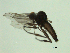  ( - 07PROBE-JW1276)  @13 [ ] CreativeCommons - Attribution (2010) Unspecified Centre for Biodiversity Genomics