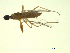  ( - 07PROBE-JW1285)  @13 [ ] CreativeCommons - Attribution (2010) Unspecified Centre for Biodiversity Genomics