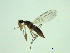  ( - 07PROBE-JW1287)  @12 [ ] CreativeCommons - Attribution (2010) Unspecified Centre for Biodiversity Genomics