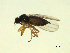  ( - 07PROBE-JW1295)  @13 [ ] CreativeCommons - Attribution (2010) Unspecified Centre for Biodiversity Genomics