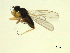  ( - 07PROBE-JW1298)  @13 [ ] CreativeCommons - Attribution (2010) Unspecified Centre for Biodiversity Genomics