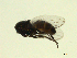  ( - 07PROBE-JW1299)  @12 [ ] CreativeCommons - Attribution (2010) Unspecified Centre for Biodiversity Genomics