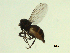  ( - 07PROBE-JW1309)  @12 [ ] CreativeCommons - Attribution (2010) Unspecified Centre for Biodiversity Genomics